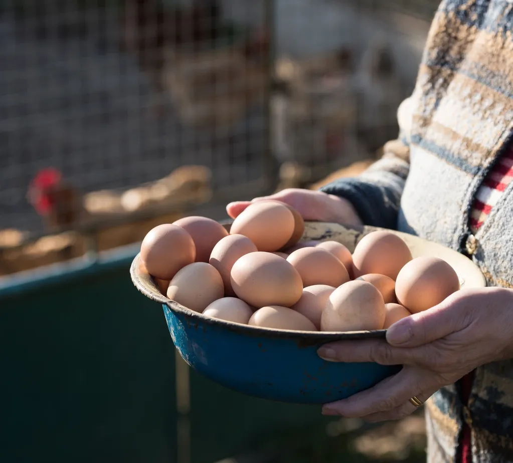 Farm Image 2
